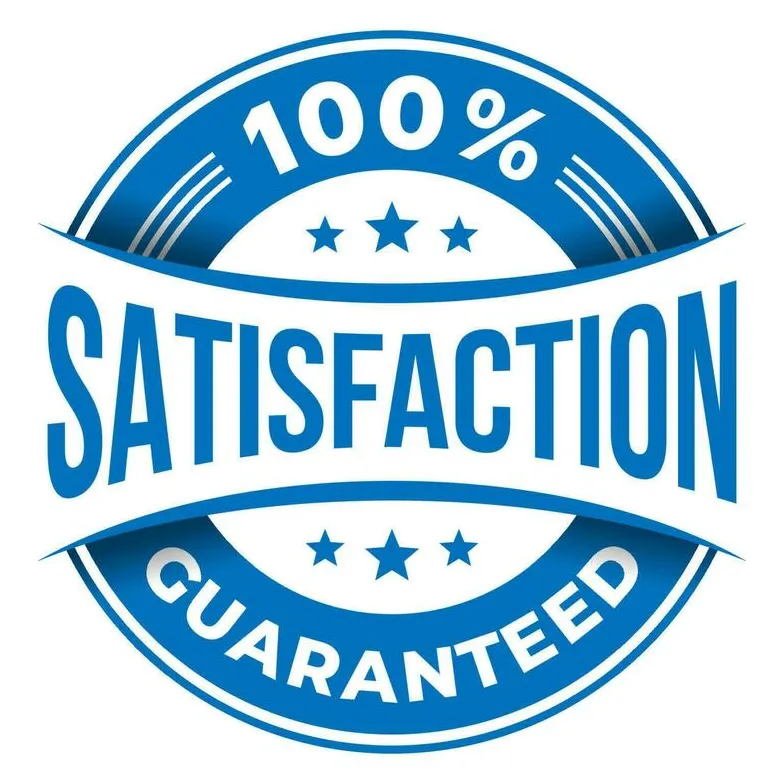 100% Client Satisfaction Guaranteed at SkyDreamix